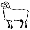 Agneau