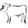 Veau